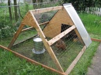 Tendance : Installer un poulailler dans son jardin