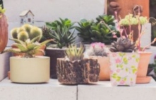 Comment d&eacute;corer sa terrasse avec de la r&eacute;cup' ?